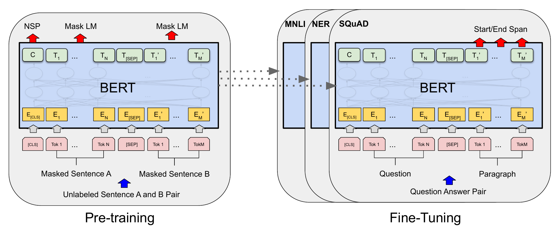 Two-panel diagram: on the left, BERT is pre-trained on unlabeled sentence pairs with masked LM and next sentence prediction heads; on the right, the same BERT model is fine-tuned on downstream tasks such as MNLI, NER, and SQuAD with task-specific outputs.
